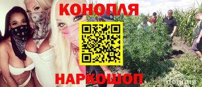 СК Донской
